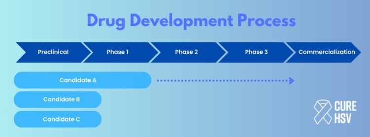 From Discovery to Cure: Understanding the Complex Path of Antiherpetic Drug Development