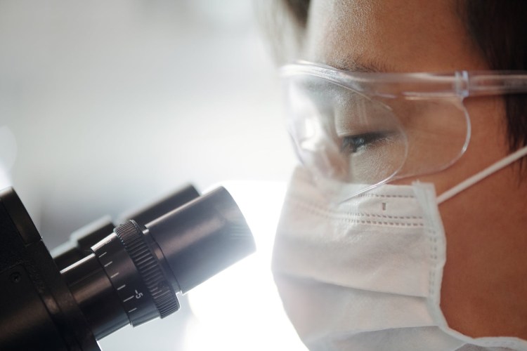 CRISPR and Herpes